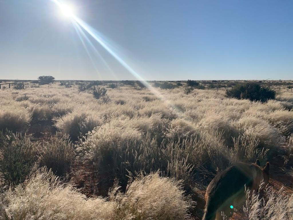 N'Rougas veld