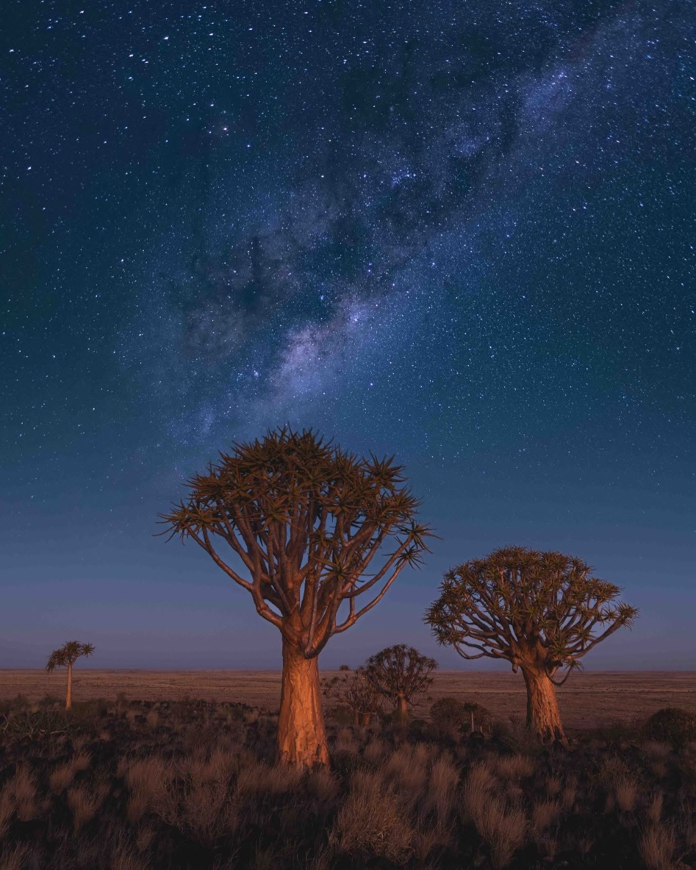 Bushmanland night sky